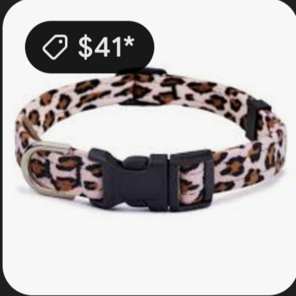 Play On DOG COLLAR 🐕 - Picture 13 of 16